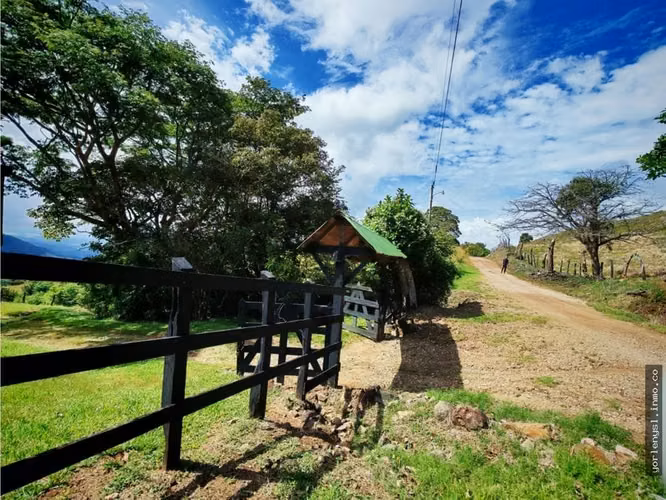 Venta de Finca Miramar- Puntarenas