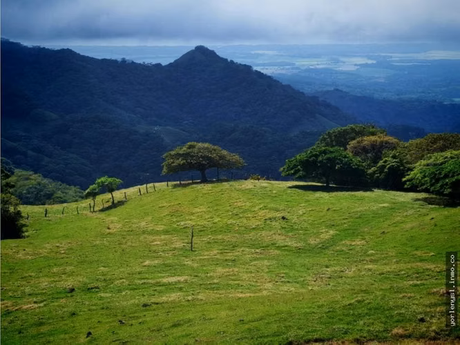 Venta de Finca Miramar- Puntarenas
