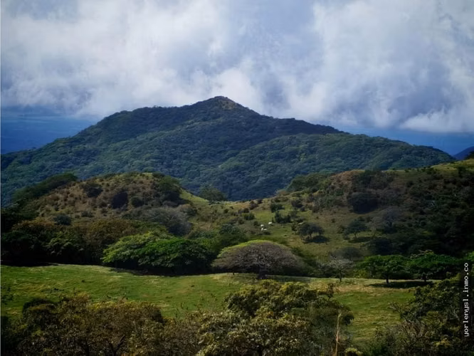 Venta de Finca Miramar- Puntarenas