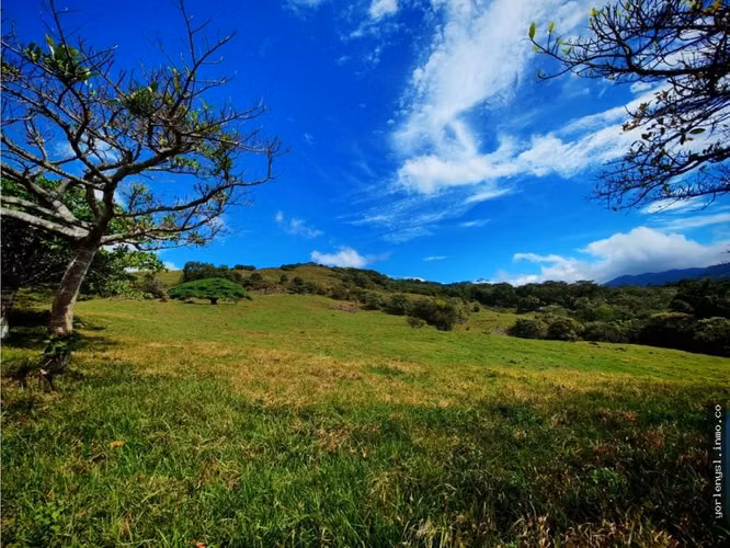Venta de Finca Miramar- Puntarenas