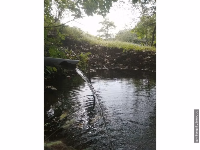 Venta de Finca Miramar- Puntarenas