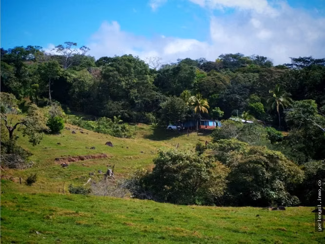 Venta de Finca Miramar- Puntarenas