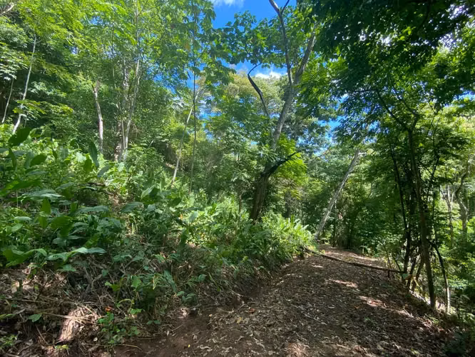Terreno Exclusivo con Río y Bosque en Garabito - Imagen 15
