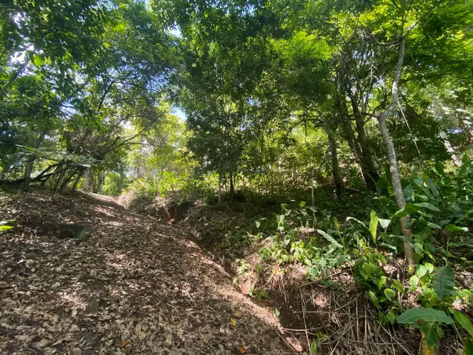 Terreno Exclusivo con Río y Bosque en Garabito - Imagen 7