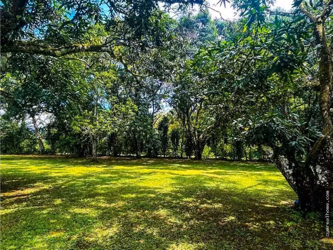 Quinta en Venta Turrubares San Jose