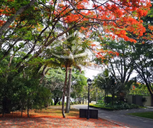 Apartamento con jardín en Parques del Sol - Imagen 20
