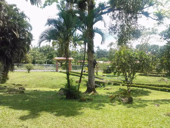 CASA CON AMPLIO TERRENO EN JIMENEZ, POCOCI, LIMON
