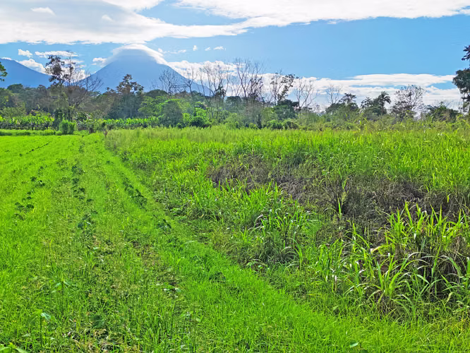 Propiedad para inversión en La Fortuna