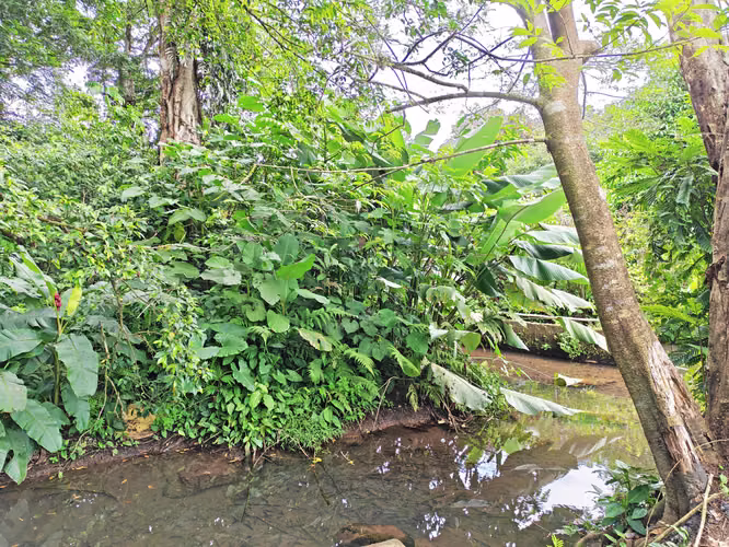 Propiedad para inversión en La Fortuna