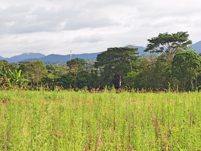 Propiedad para inversión en La Fortuna
