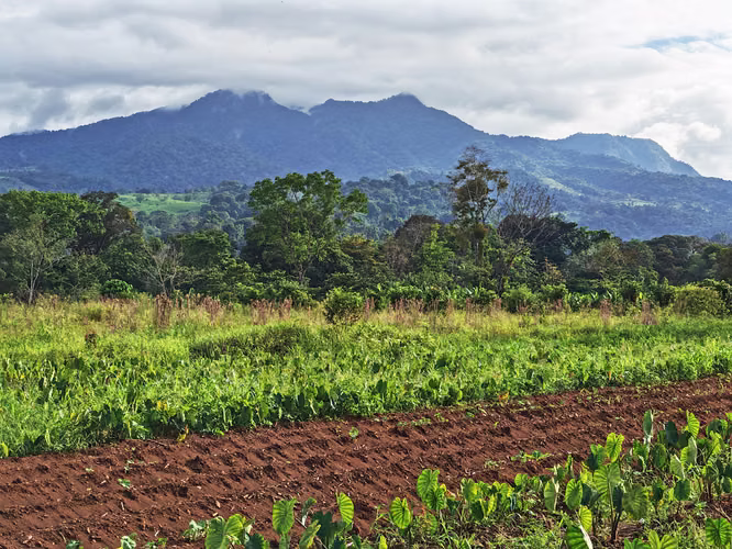 Propiedad para inversión en La Fortuna