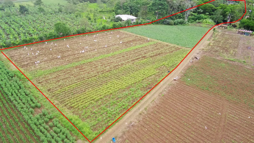 Propiedad para inversión en La Fortuna
