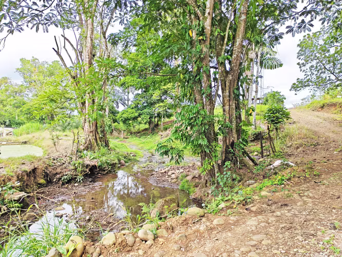 Propiedad para inversión en La Fortuna