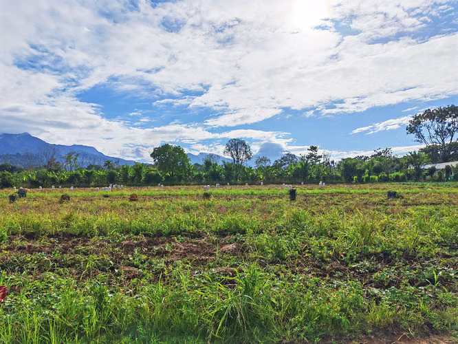 Propiedad para inversión en La Fortuna