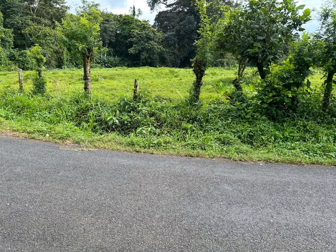 Venta de Terreno en Mortero, Las Horquetas, Sarapiquí, Heredia - Imagen 6