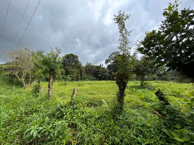 Venta de Terreno en Mortero, Las Horquetas, Sarapiquí, Heredia - Imagen 3