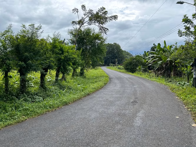 Venta de Terreno en Mortero, Las Horquetas, Sarapiquí, Heredia - Imagen 4