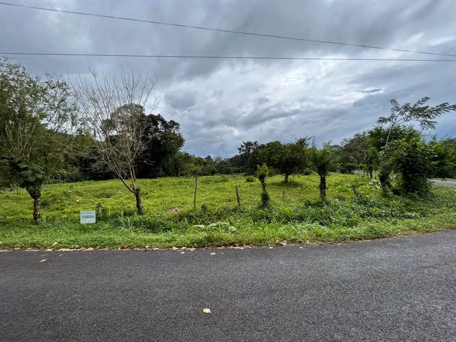 Venta de Terreno en Mortero, Las Horquetas, Sarapiquí, Heredia - Imagen 8