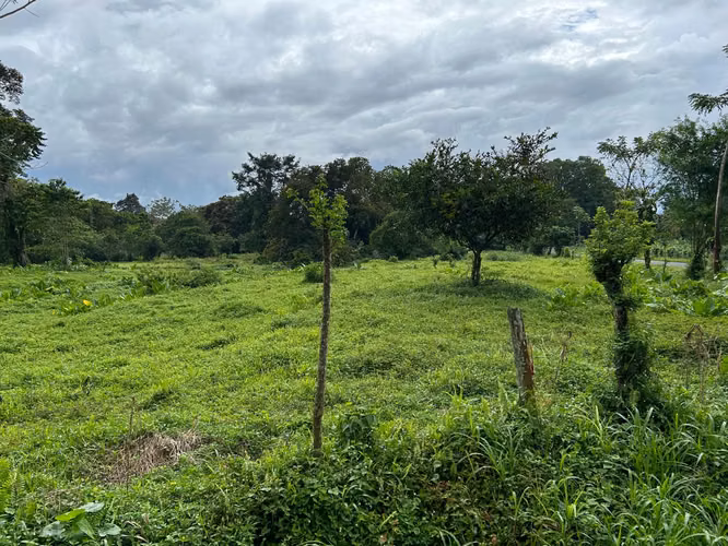 Venta de Terreno en Mortero, Las Horquetas, Sarapiquí, Heredia - Imagen 7