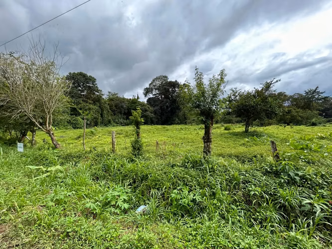 Venta de Terreno en Mortero, Las Horquetas, Sarapiquí, Heredia - Imagen 2