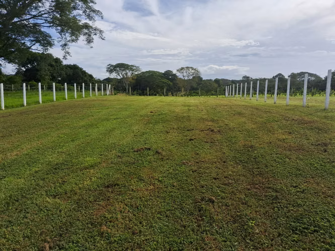 Venta de Lotes en Lagunillas / Orotina / Alajuela - Imagen 17