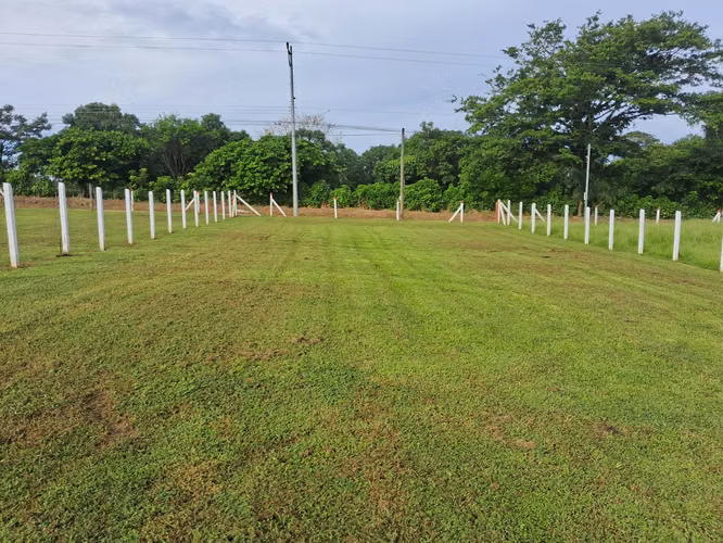 Venta de Lotes en Lagunillas / Orotina / Alajuela - Imagen 2