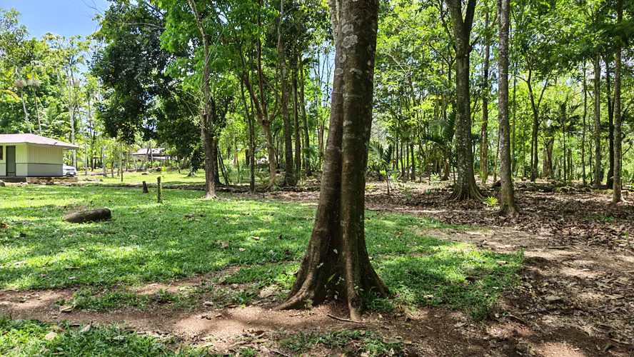 Se vende quinta o terreno con casa