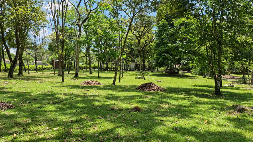 Se vende quinta o terreno con casa