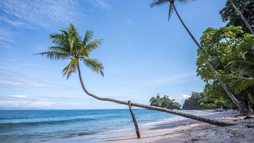 Venta de Hermosa Quinta en La Ceiba de Orotina - Imagen 8