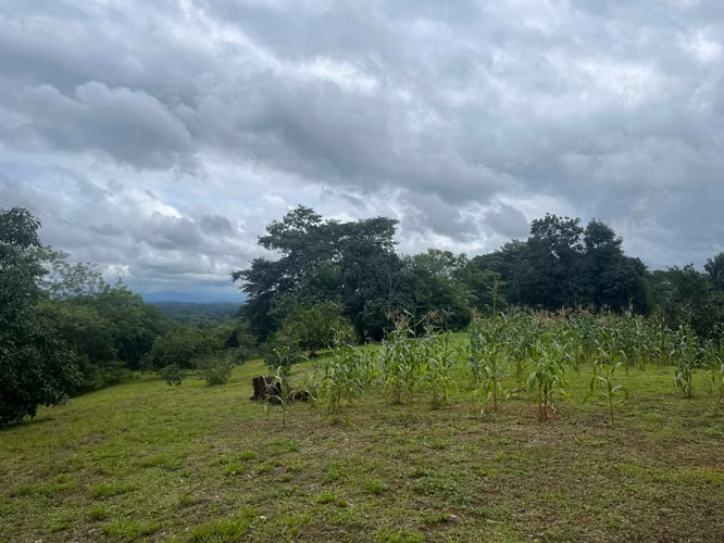 Venta de Hermosa Quinta en La Ceiba de Orotina - Imagen 3