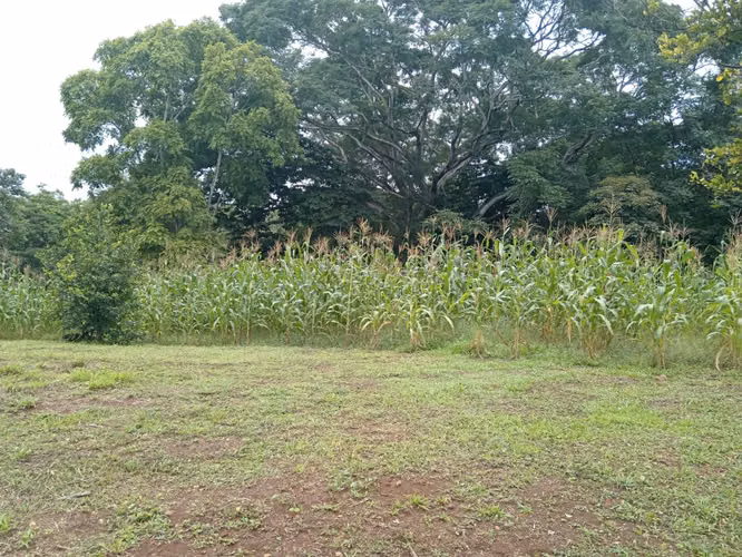 Venta de Hermosa Quinta en La Ceiba de Orotina - Imagen 5
