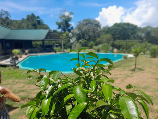 Preciosa propiedad de una hectarea en Venta Talamanca Limon