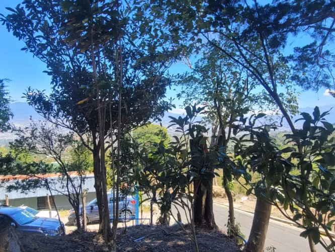 Propiedad con Vista Panorámica y dos Casitas | 10000 m² - Imagen 15