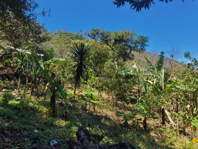 Propiedad con Vista Panorámica y dos Casitas | 10000 m² - Imagen 13