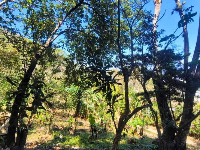 Propiedad con Vista Panorámica y dos Casitas | 10000 m² - Imagen 7