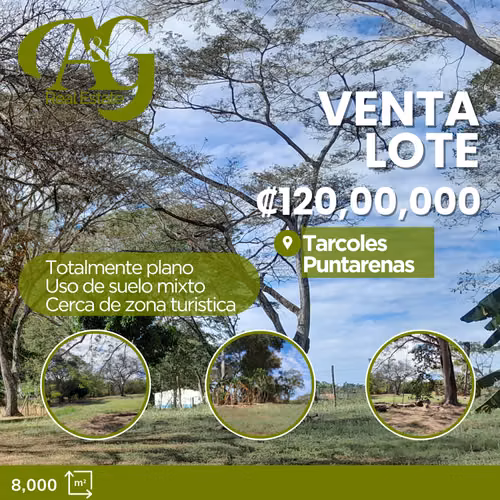 Venta Terreno Tarcoles Puntarenas VPG119