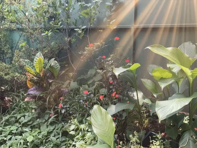 VENDO PROPIEDAD DE UNA PLANTA CON APARTAMENTOS EN EL CORAZÓN DE BARRIO ESCALANTE - Imagen 19