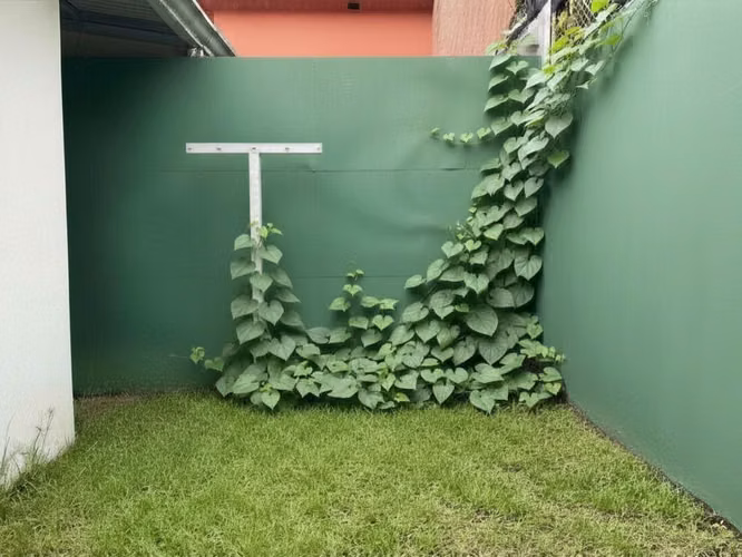 VENDO PROPIEDAD DE UNA PLANTA CON APARTAMENTOS EN EL CORAZÓN DE BARRIO ESCALANTE - Imagen 3
