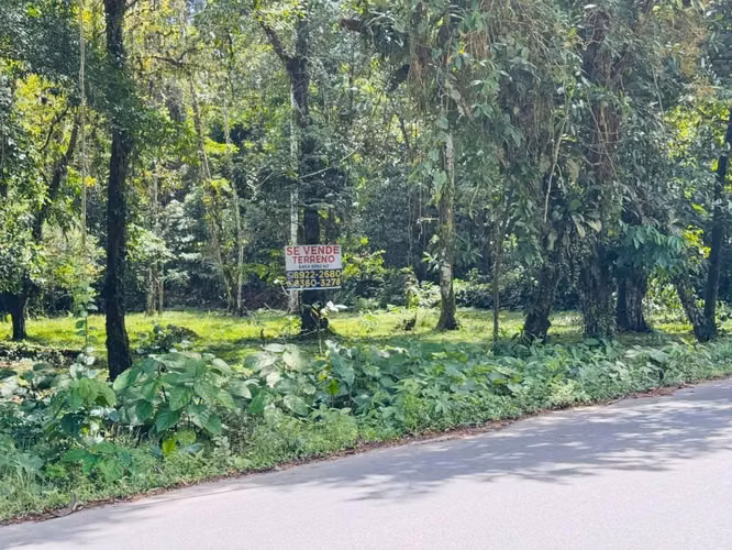 Se vende finca en Guápiles -Limón - Imagen 5