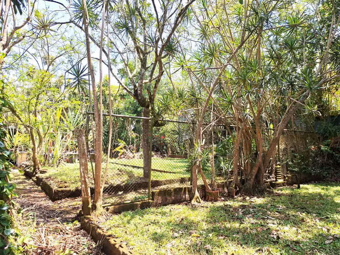  Casa para Remodelar + 2 Galerones en Terreno Amplio( HR 1356 ) - Imagen 10