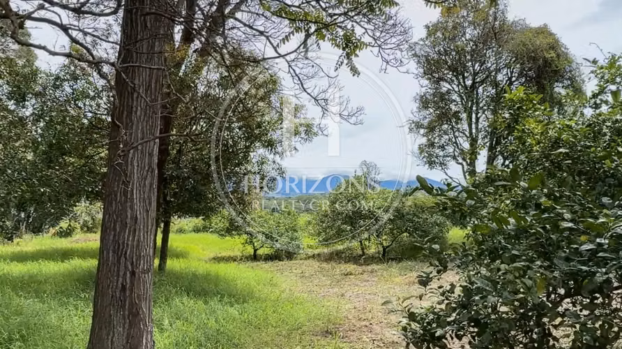 Terreno Para desarrollo 3.31 Ha Hectáreas Potencial de Desarrollo NJA1363
