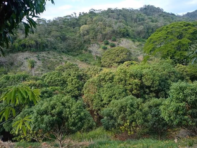 Finca con Vista al Océano Pacífico en Paquera, Puntarenas