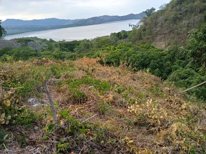 Finca con Vista al Océano Pacífico en Paquera, Puntarenas