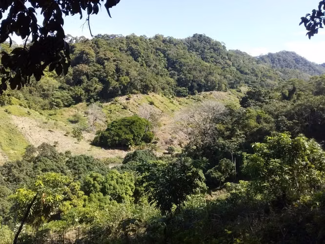 Finca con Vista al Océano Pacífico en Paquera, Puntarenas