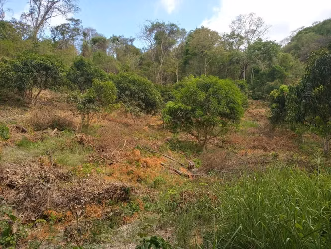 Finca con Vista al Océano Pacífico en Paquera, Puntarenas