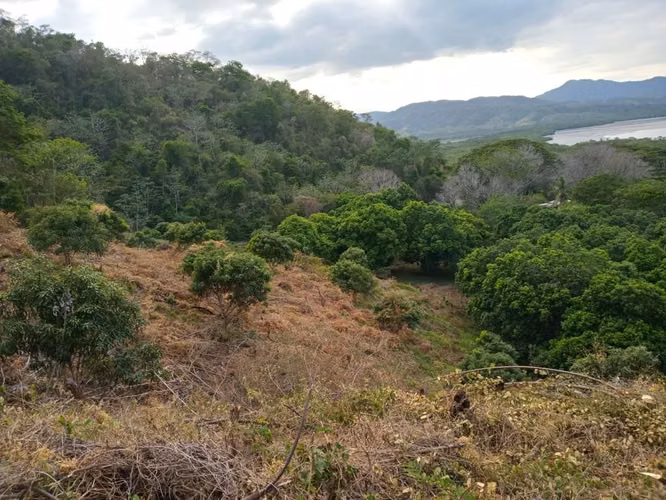 Finca con Vista al Océano Pacífico en Paquera, Puntarenas