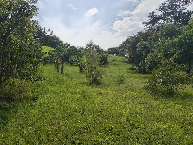 Finca con Casa en Cebadilla, Turrúcares, Alajuela - Imagen 4