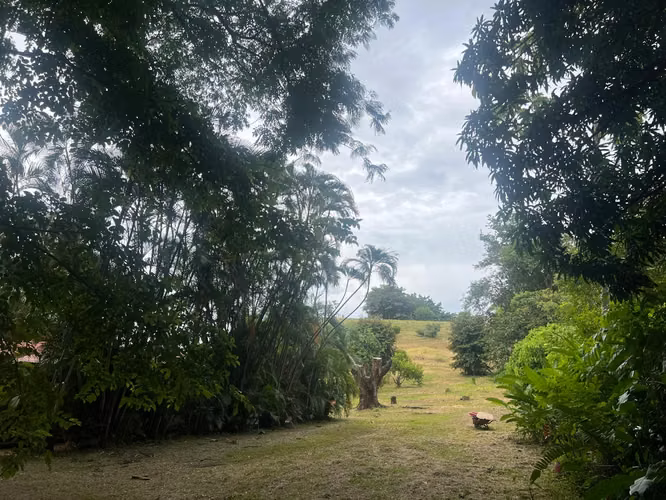 Finca con Casa en Cebadilla, Turrúcares, Alajuela - Imagen 15