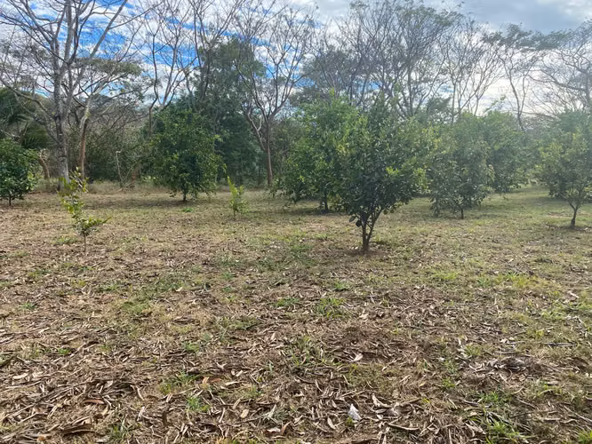 Finca con Casa en Cebadilla, Turrúcares, Alajuela - Imagen 18