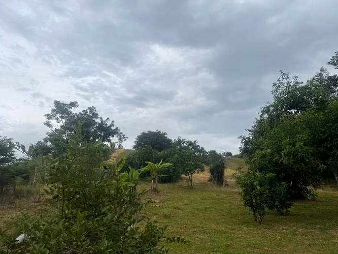Finca con Casa en Cebadilla, Turrúcares, Alajuela - Imagen 19